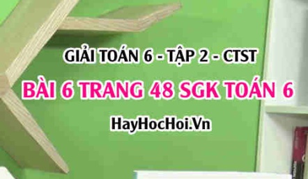 Giải bài 6 trang 48 Toán 6 Tập 2 SGK Chân trời sáng tạo